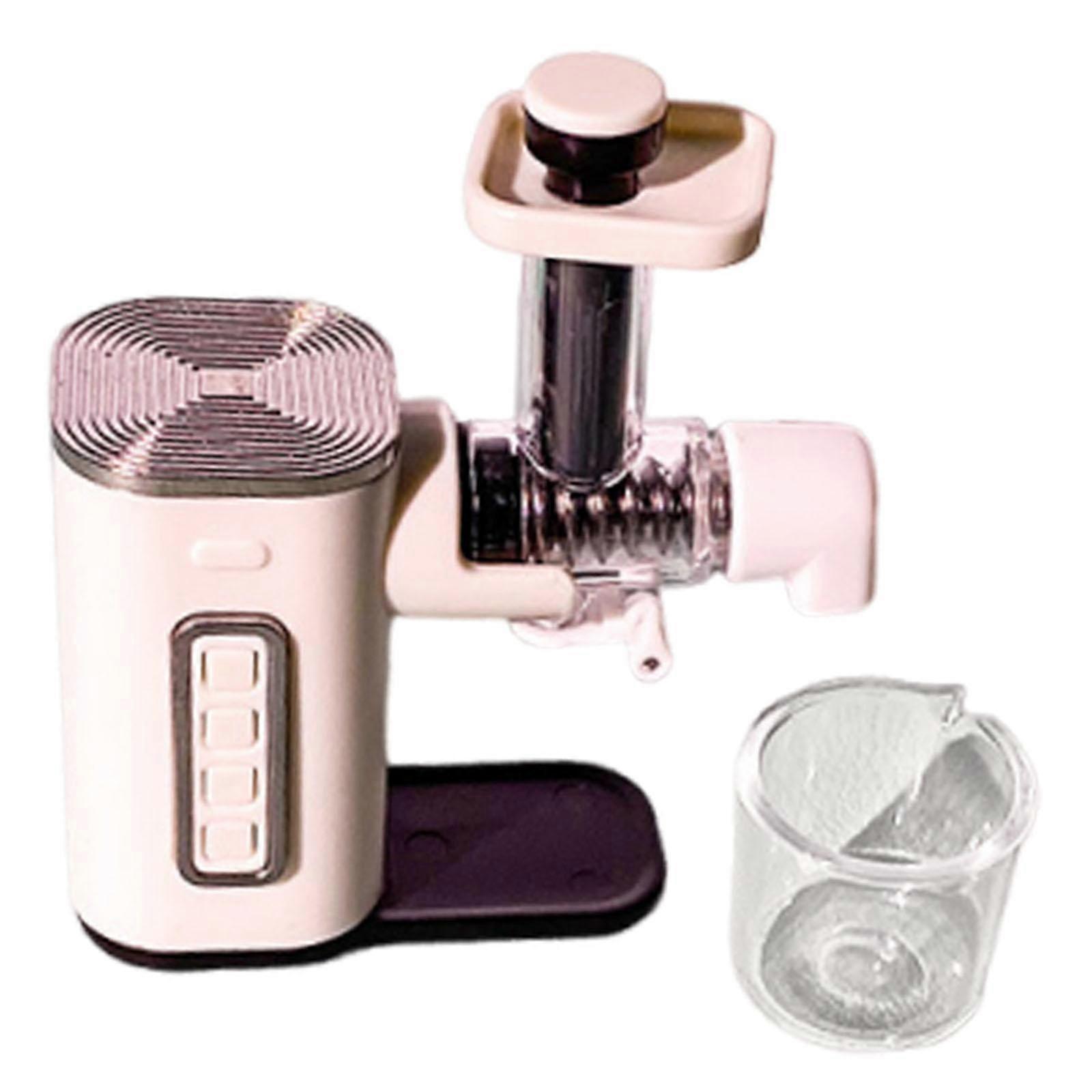 Dollhouse Juicer Model Ornament 1/12 Tiny Model Simulation Holiday Gift