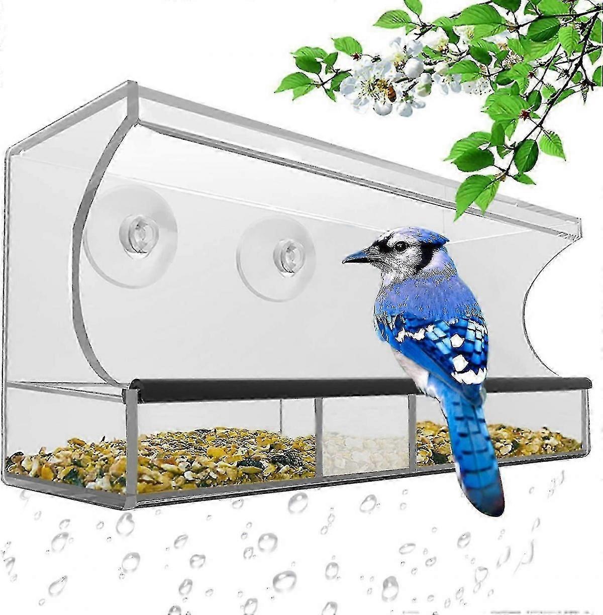 Window Bird Feeder with Removable Tray & Drainage Holes