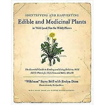 Identificación y recolección de plantas comestibles y medicinales en lugares silvestres (y no tan salvajes) (y en lugares no tan salvajes)