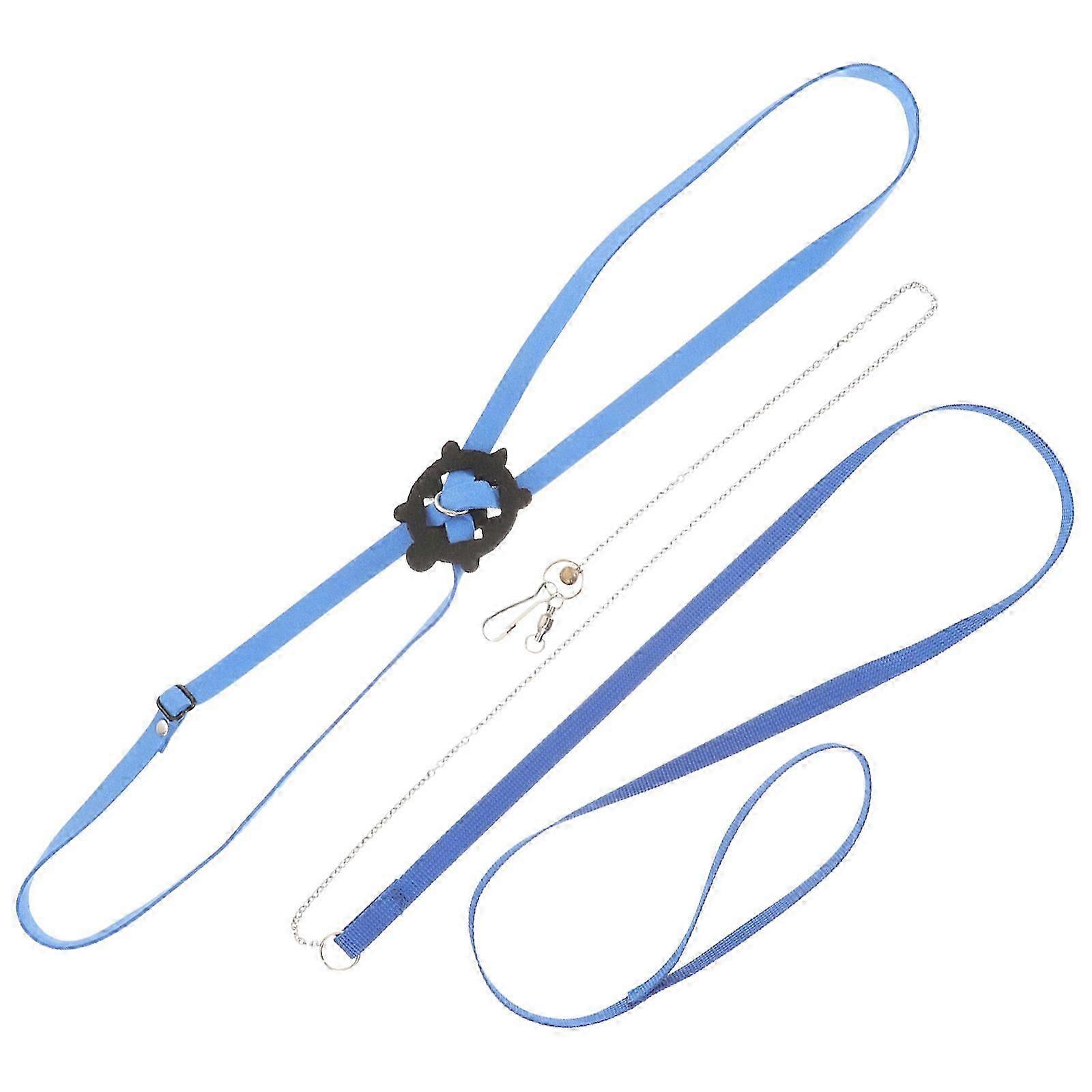 Turtle Training Leash Adjustable Pet Traction Rope for Walking Blue