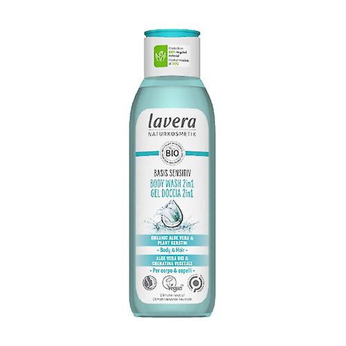 Shower gel & shampoo 2 in 1 basis sensitv 250 ml