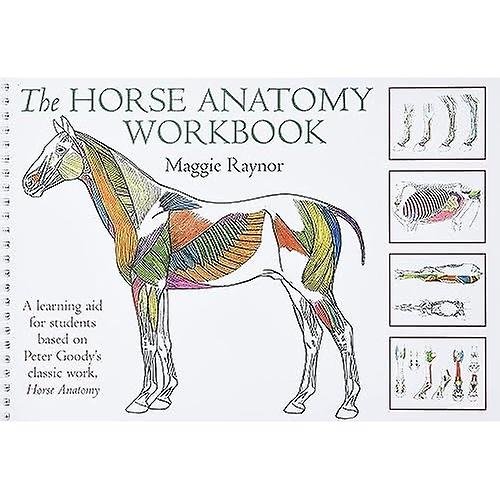 Cartella di lavoro di cavallo anatomia (Allen studente) 30.23 x 1.02 x 20.57 centimetres