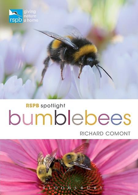 Rspb Spotlight Bumblebees by Richard Comont Paperback