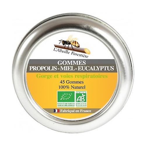 Organic Propolis Honey Eucalyptus Gums 45 units