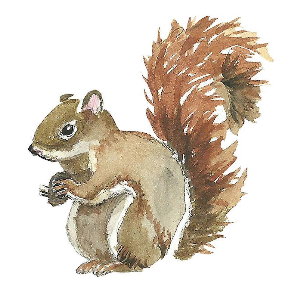Creative cute squirrel wall sticker, wall sticker wall decoration