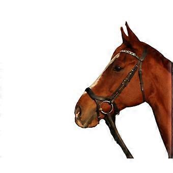 Showtime Freedom Bridle for Horse