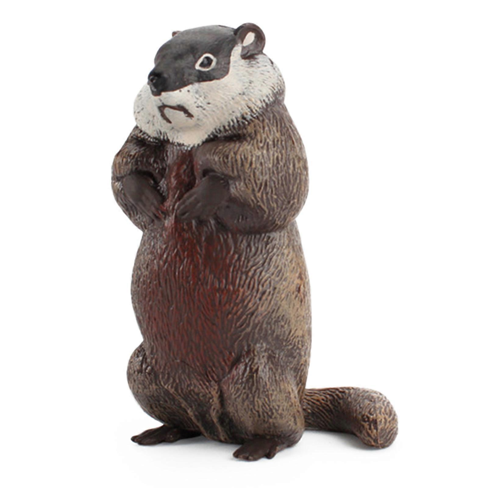Groundhog Solid Pvc Action Figure Desktop Decorative Ornament Collection Gift