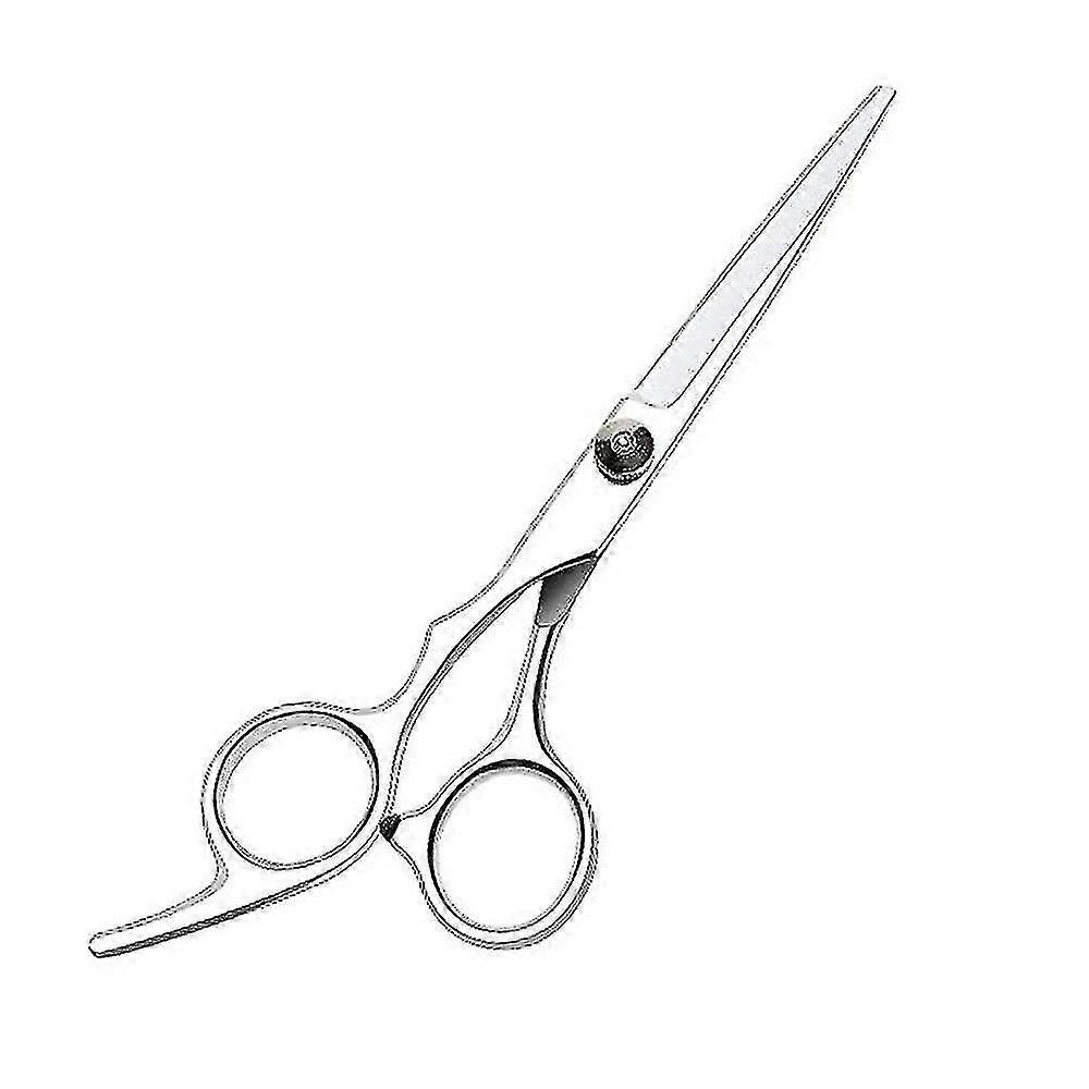Silver Barber/salon Scissors/shears