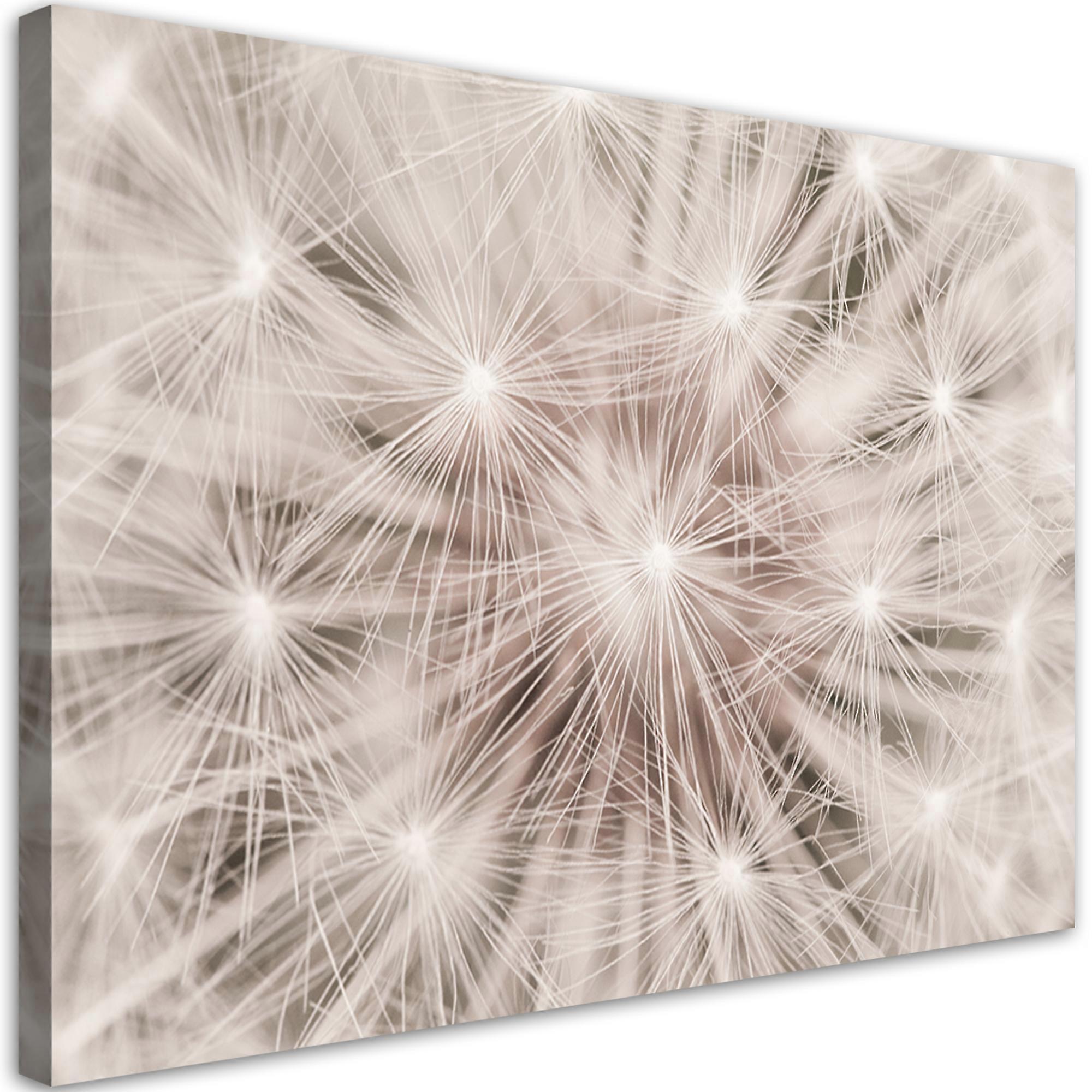 Impression sur toile, Souffleur fleurs nature macro - 90x60