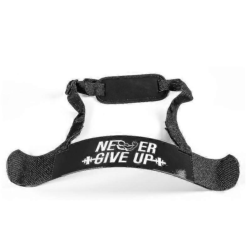 Arm Blaster For Biceps & Triceps Dumbbells & Barbells Curls Muscle Builder Bicep Isolator For Big Ar
