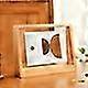 Acrylic Wood Photo Frame, A4 Table Display Creative Trapezoidal Design