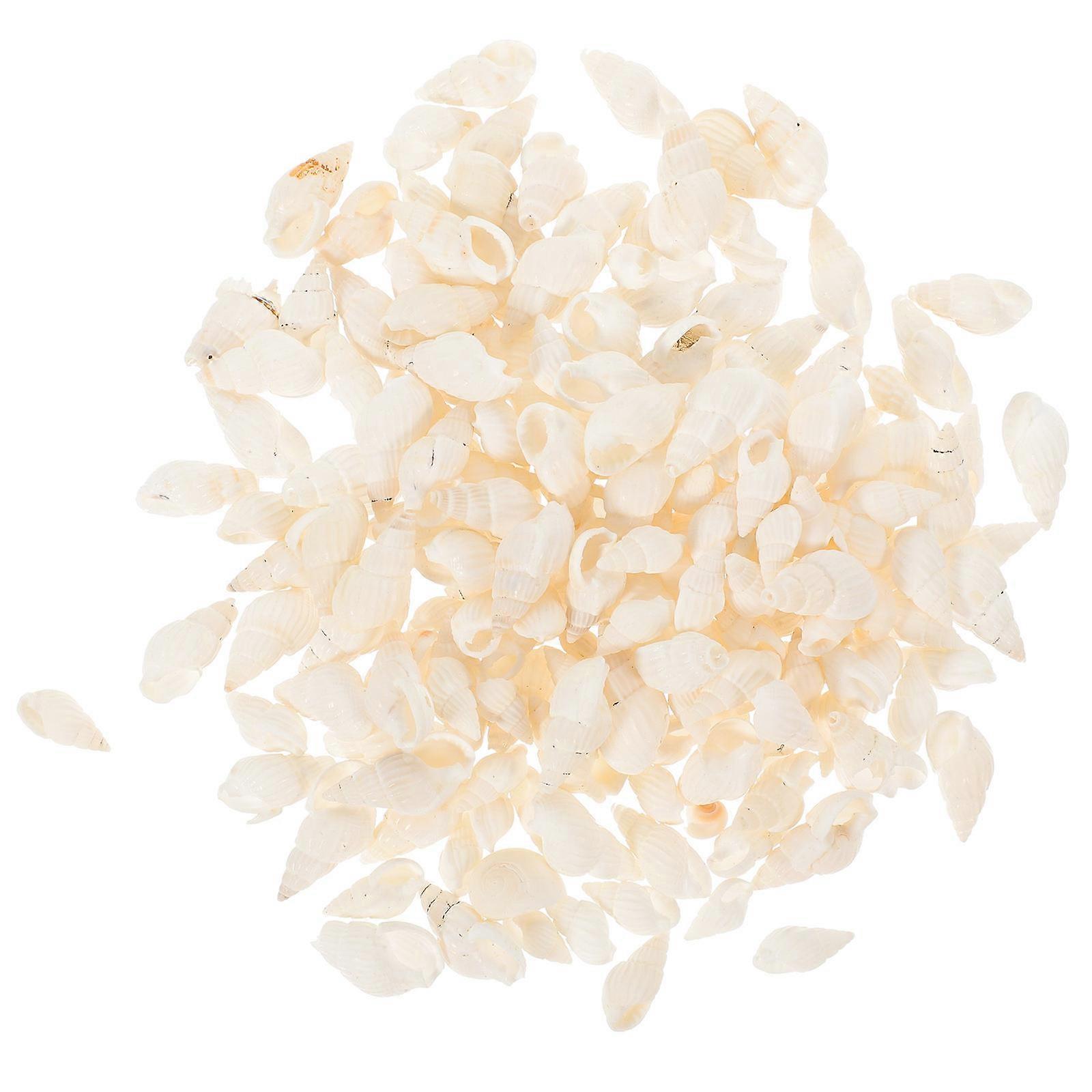 200pcs Beige Conch Shells for Fish Tank Adornment and Hermit Crab Shells Versatile Use