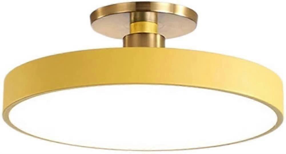 Nordic Minimalist 3 Color Dimmable LED Ceiling Light Flush Mount 30cm Yellow