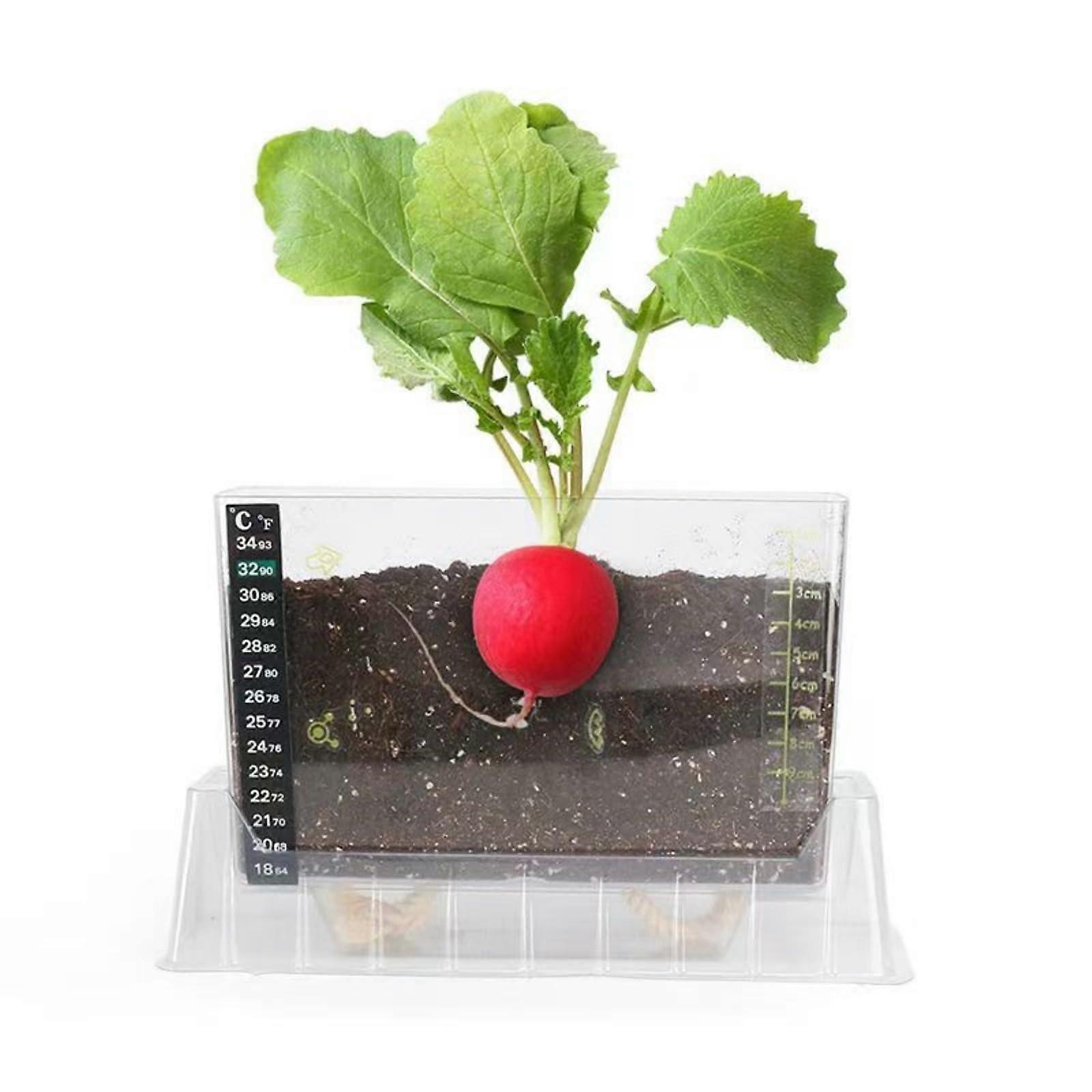 Seed Germination Kit with Transparent Visual Design for Root Observation and Automatic Water Absorption