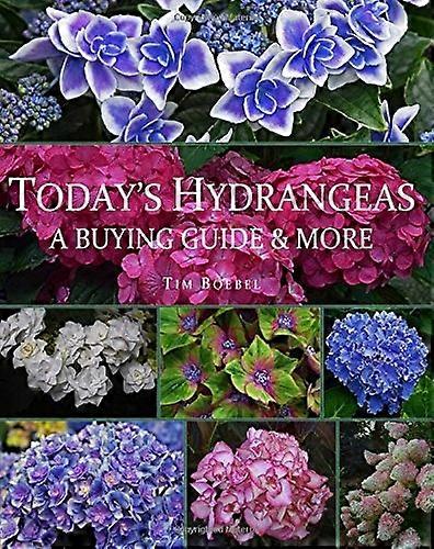 Today's Hydrangeas: A Buying Guide & More