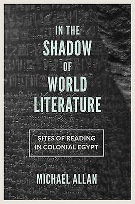 In The Shadow Of World Literature by Michael Allan Paperback Book