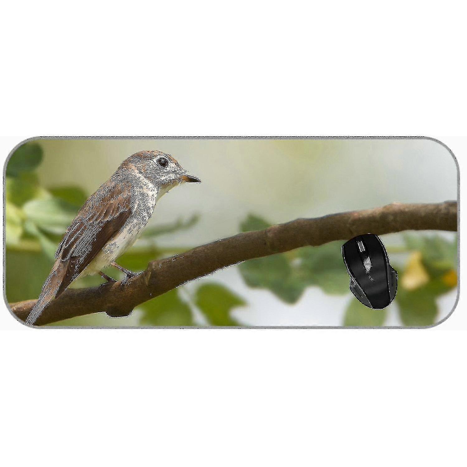 Desk Animal Sparrow Trunk Non-slip Rubber Extended Mice 600x300x3