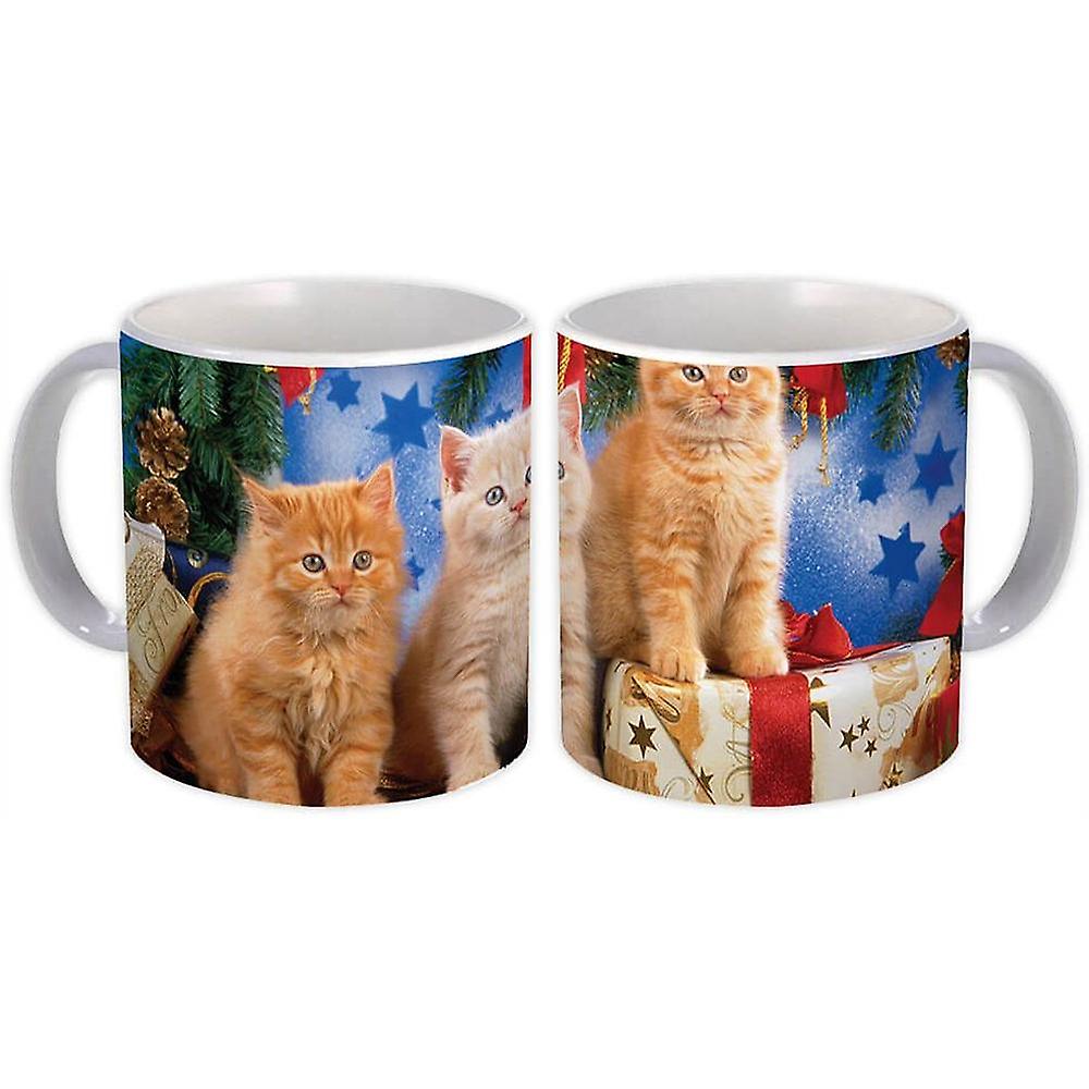Gift Mug: Christmas Cat Kittens