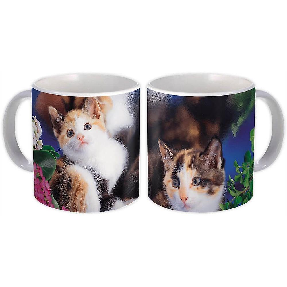Gift Mug: Cat Animal