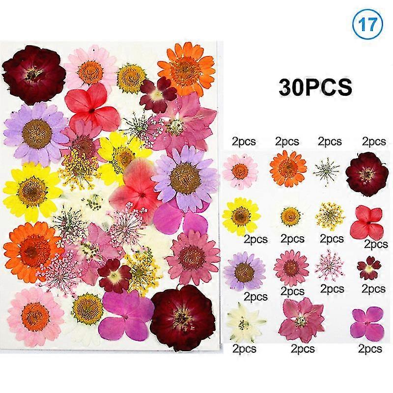 Pressed Flower Handmade Mixed Dried Flowers Material for DIY Aromatherapy Candles Greeting Card