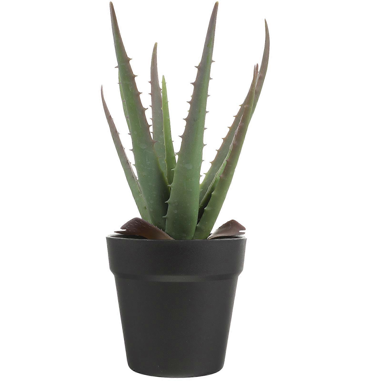 Succulent Simulation Ornament Realistic Fake Plants Assorted Color 35x15cm Safe & Stable Photo Prop 1Set