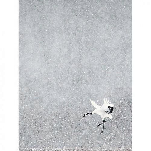 Markus Varesvuo Japansk Tranetryk