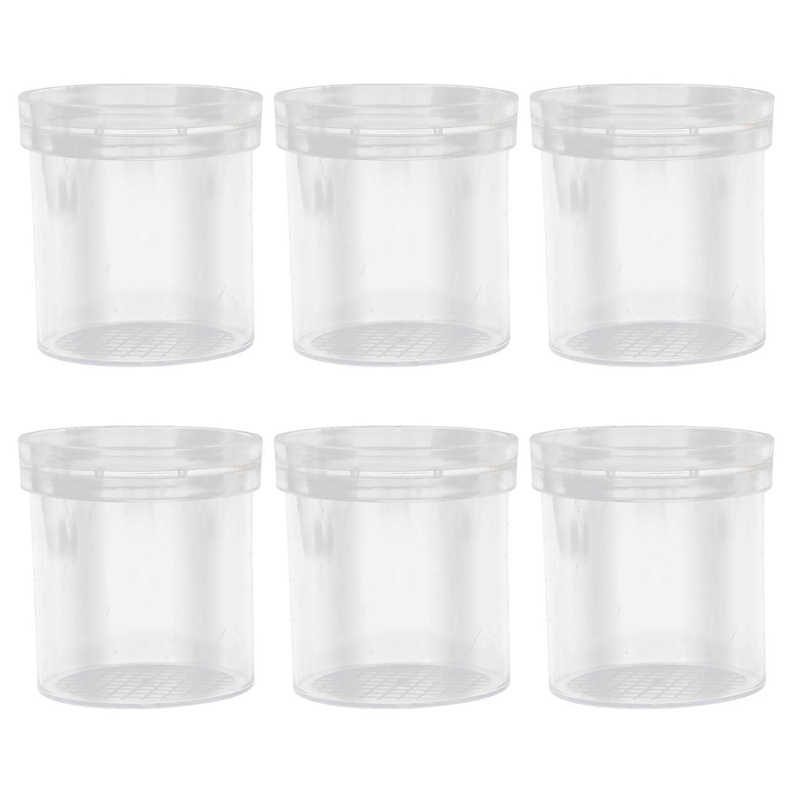 Transparent Plastic Observing Jar for Insect Catching with 6Pcs Set