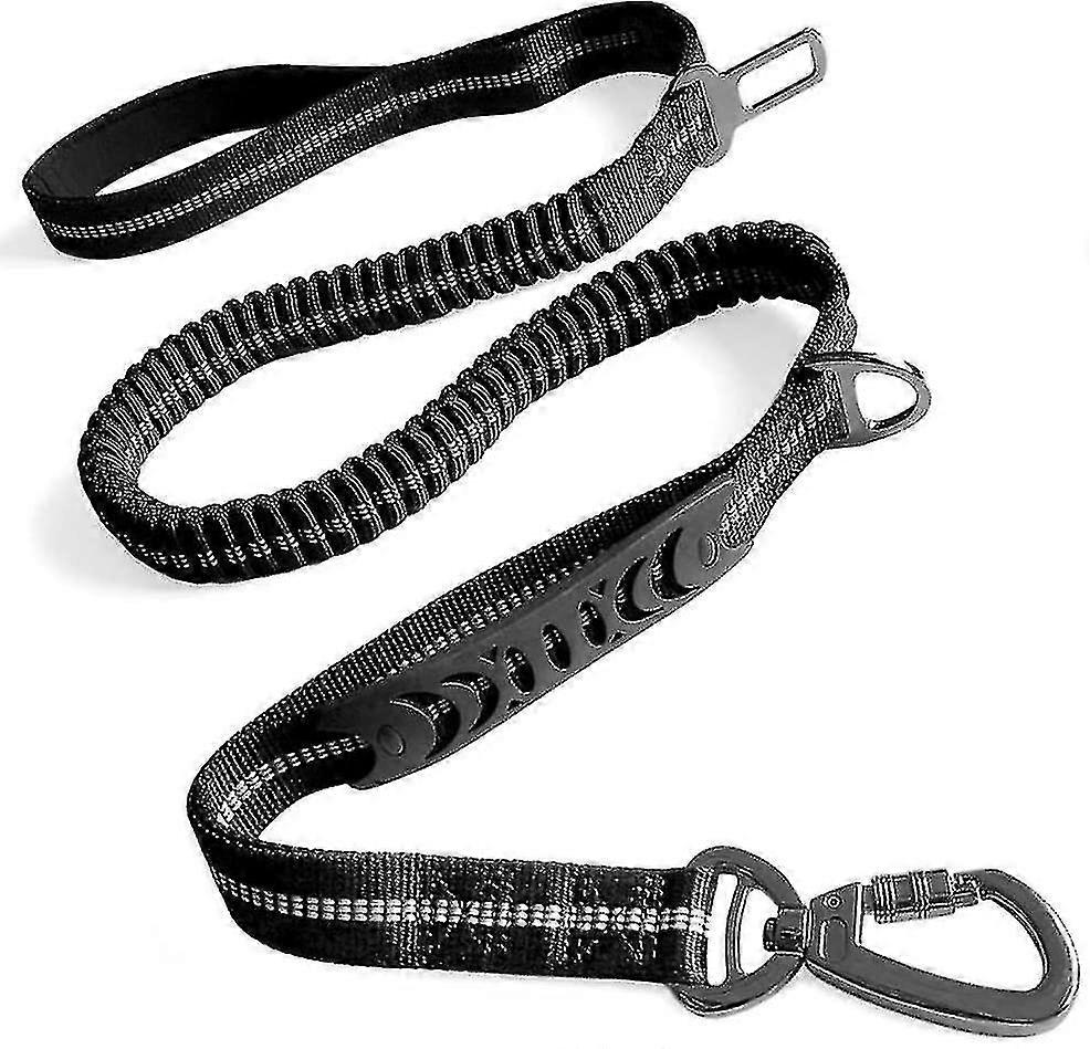 Shock Absorbing Dog Leash for Active Pets With Padded Handle
