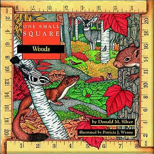 Ein kleines Quadrat: Wald