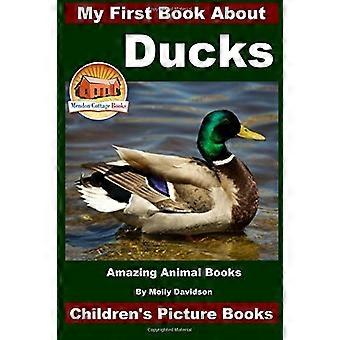 Mein erstes Buch über Enten - Amazing Animal Books - Bilderbücher für Kinder
