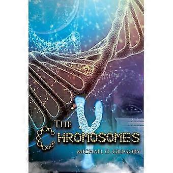 Die Y-Chromosomen