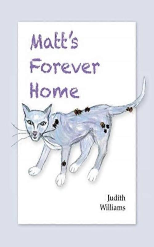 Matts Forever Home