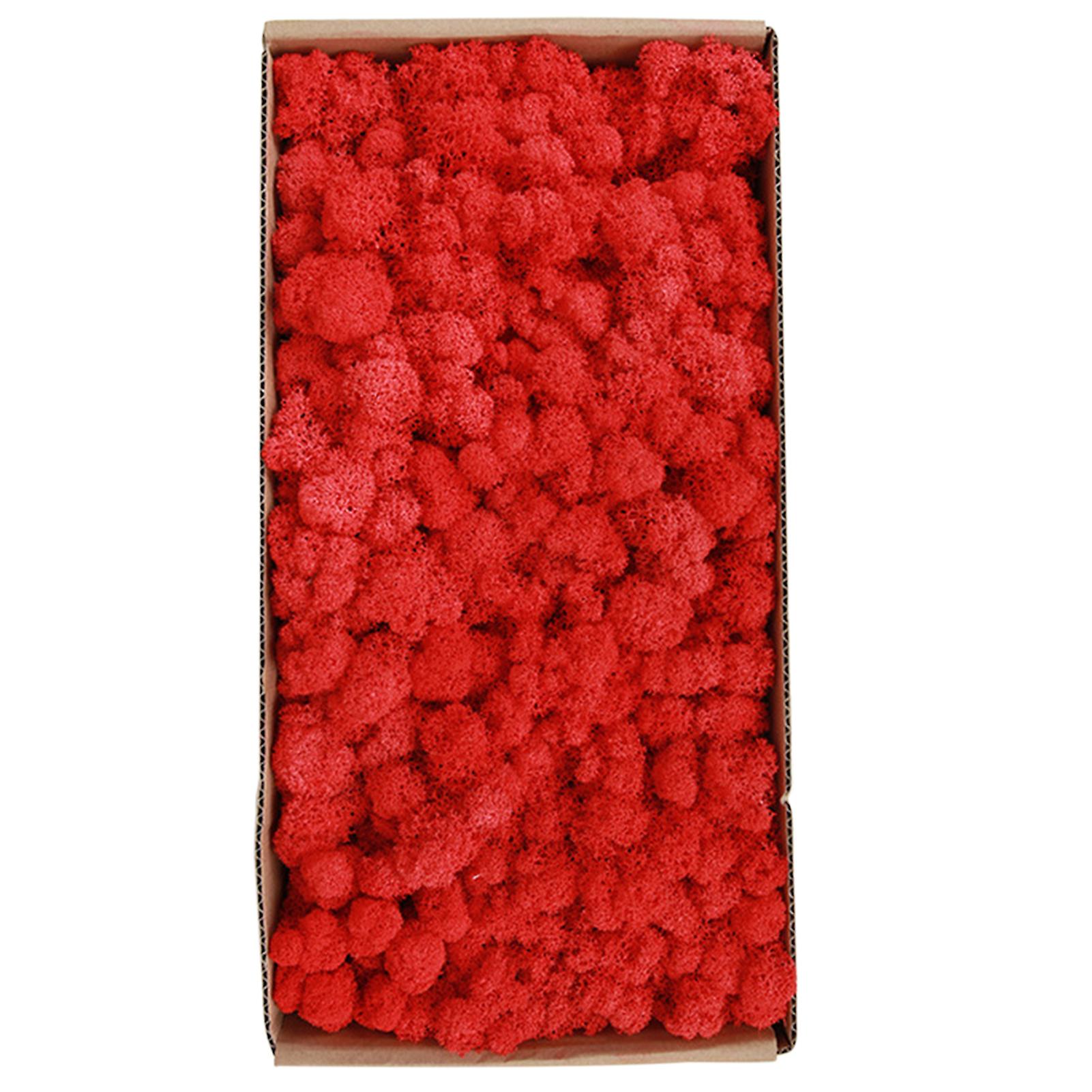 Preserved Moss Wall Decor Real Preserved Moss No Maintenance Required