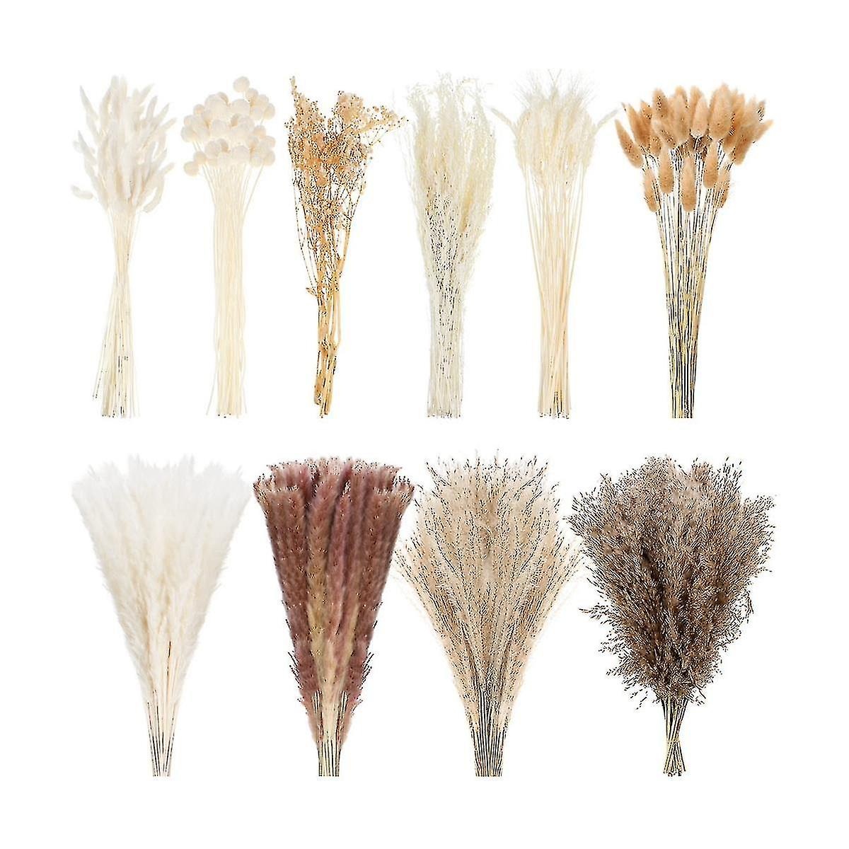 324pc Essiccato Pampas Erba Decor 17 pollici bianco Pampas erba rami naturale fiore Bouquet Bunny Dri