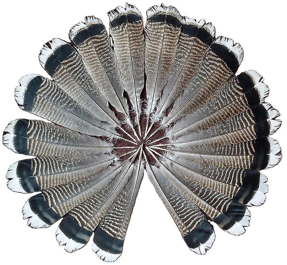 批发 50 件 12-14 英寸 30-35cm 天然火鸡羽毛尾巴羽毛 DIY 服装装饰工艺品帽子-dwdz