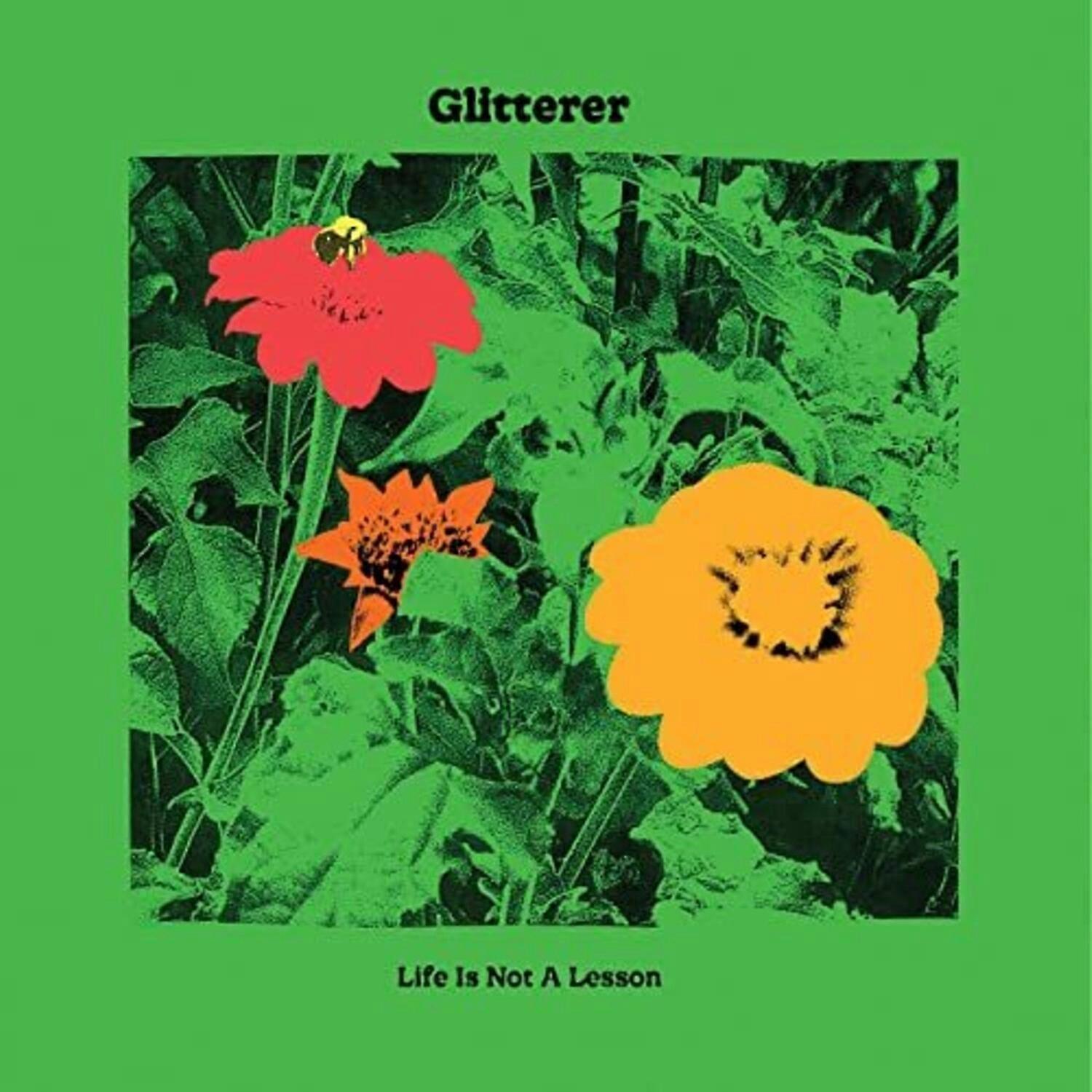 Glitterer - Life Is Not A Lesson  [COMPACT DISCS] USA import