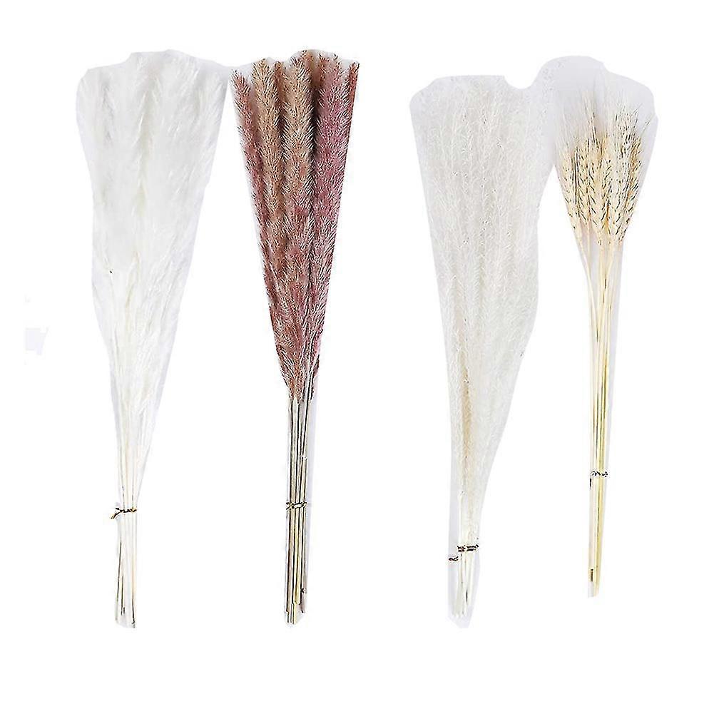 Pampas Grass Boho Decor, Natural Fluffy Dried Pampas Grass, Long-lasting, Maintenance Free, Photogr