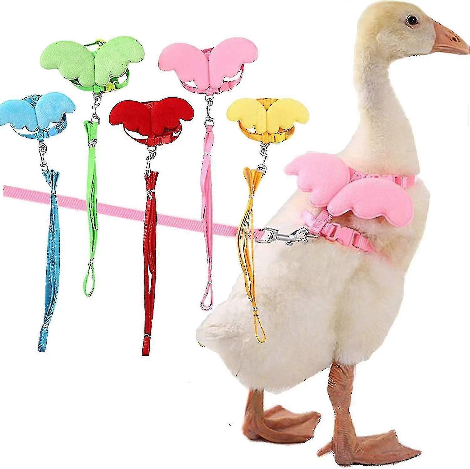 Pet Duck Walking Sele Leash Justerbart utendørs treningstau