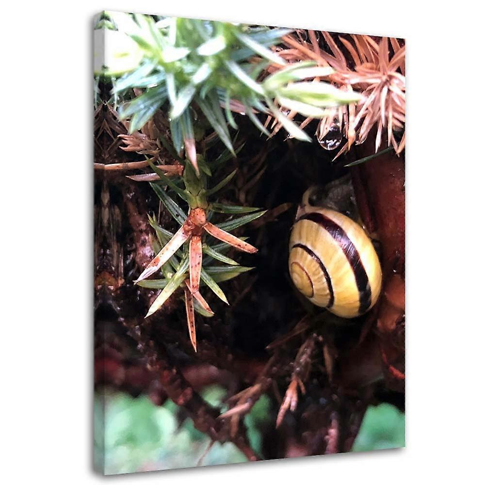 Leinwandbild, Schneckenblätter - 60x90