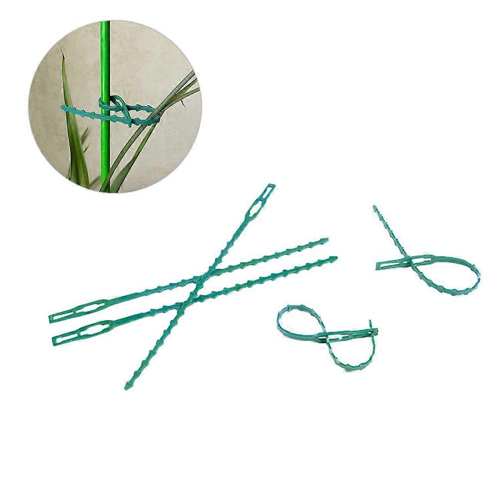 Light Green Reusable Plastic Plant Ties for Gardens with 8pcs Adjustable Straps for Vine Support