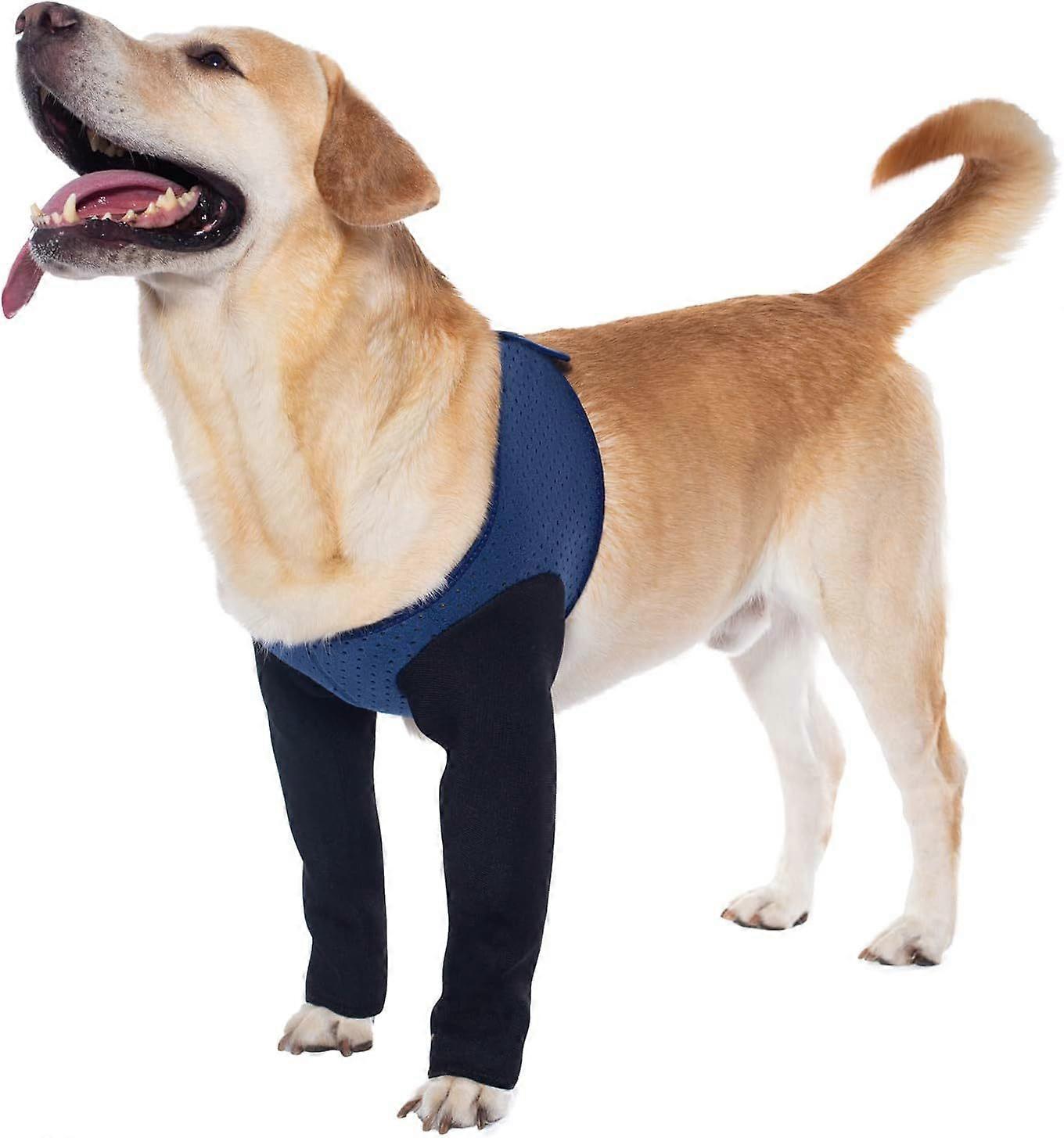 Dog leg protection equipment, available in sizes from extra extra small to extra large, prevents licking and biting and protects joints