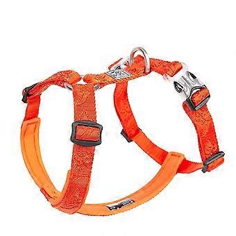 Designer Nylon Dog Collar And Mollusk Reflection Dog Lock Dog Pit Milk Nylon | Harness (orange)