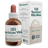 SLE Vaccinium Vitis Idaea 50 ml