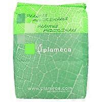 Whole Green Tea 1 kg