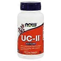 UCII Collagen 120 vegetable capsules