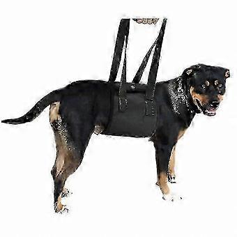 Hands-Free Pet Carrier Waist Belt for Secure Dog Transport