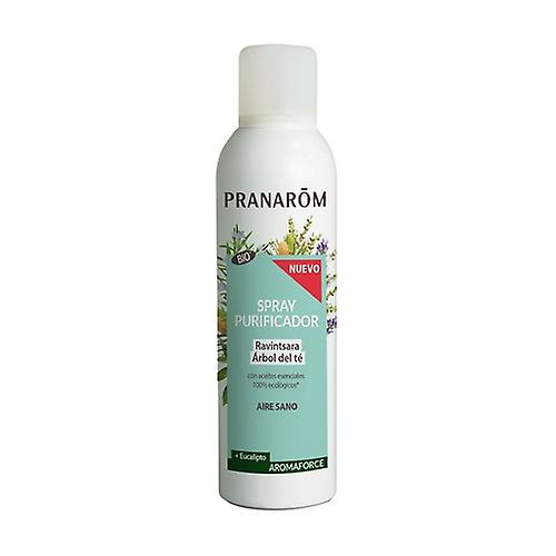 Ravintsara and Tea Tree Purifying Spray 150 ml