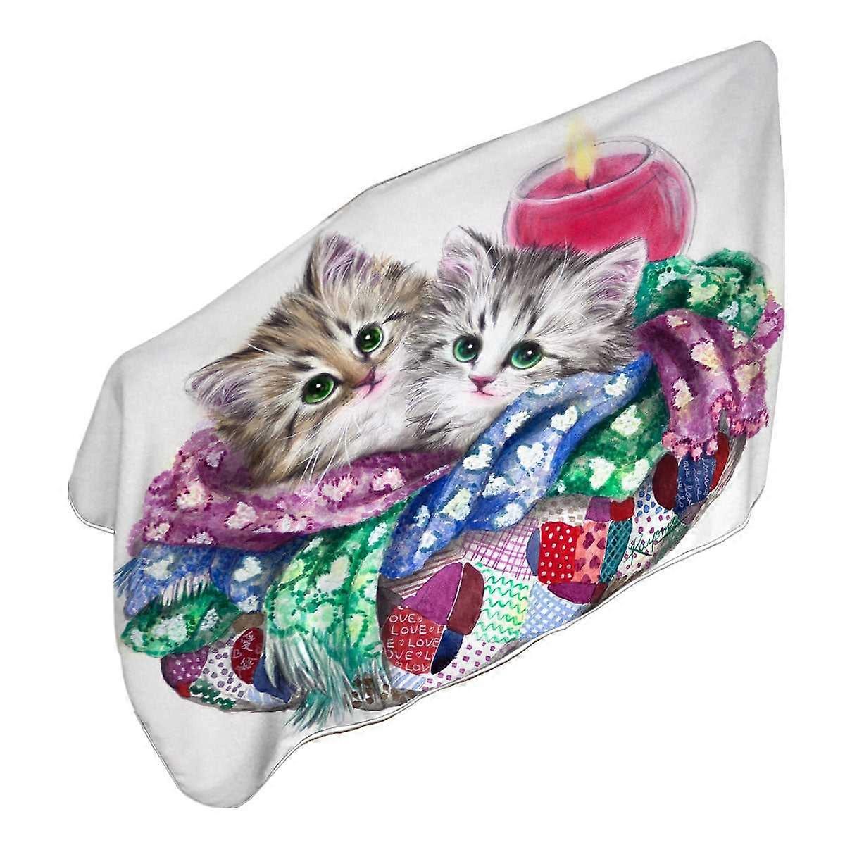 可爱的猫咪艺术保暖虎斑猫超细纤维沙滩巾