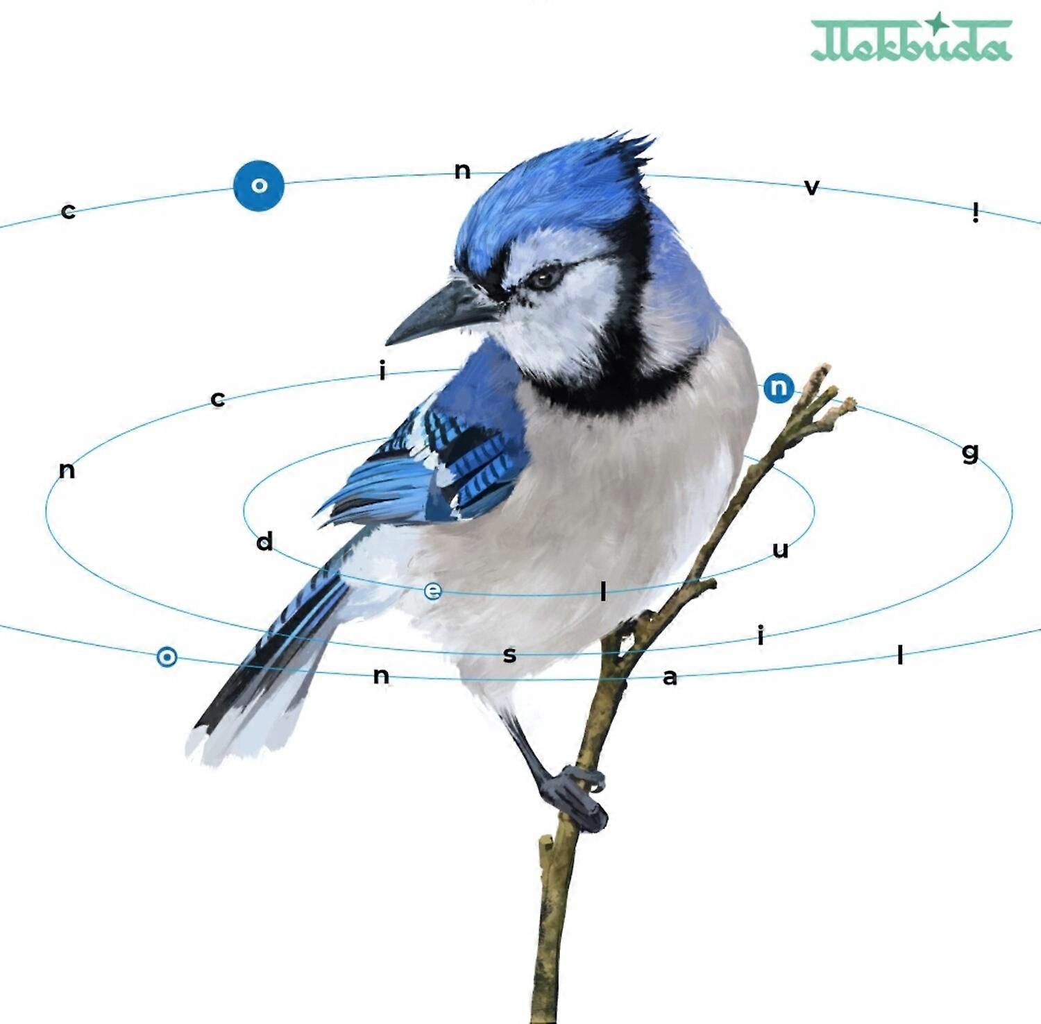 Mekbuda - Convincing Delusional  [VINYL LP] USA import