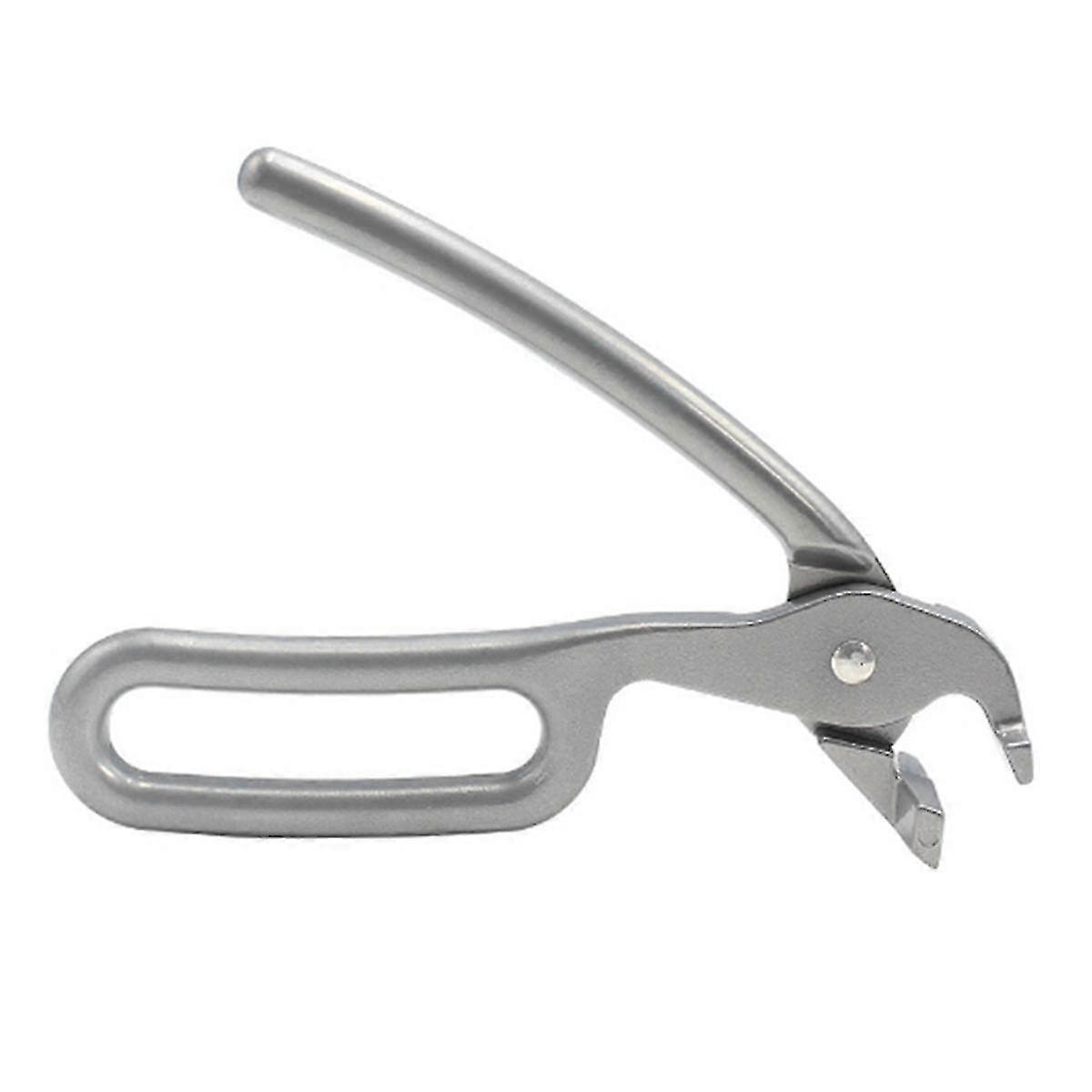 ارتفاع درجة الحرارة مقاومة البيتزا الخبز عموم كليب، لوحة كليب، مكافحة السمط كليب